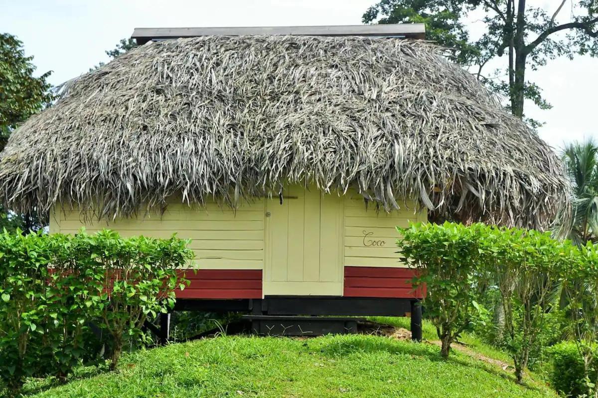 Nathylodge Bocas Town Bagian luar foto