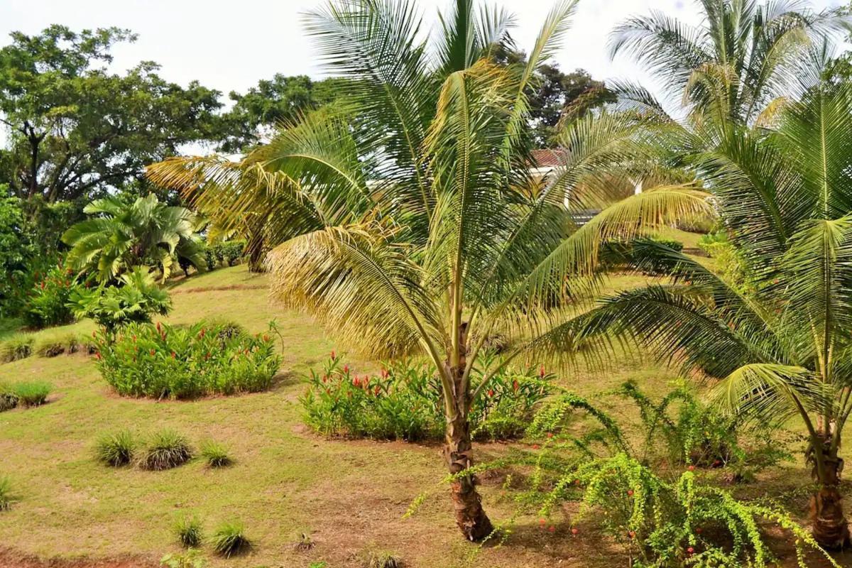 Nathylodge Bocas Town Bagian luar foto