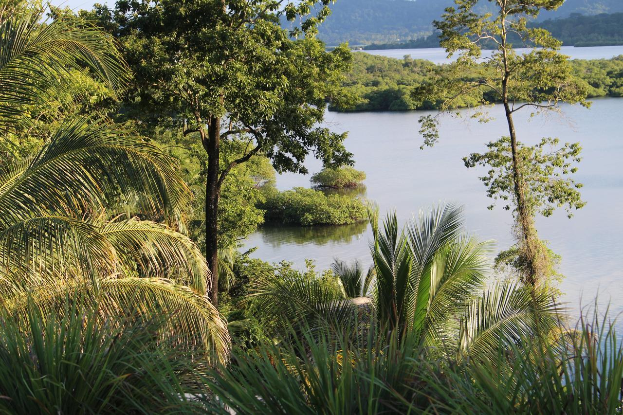 Nathylodge Bocas Town Bagian luar foto