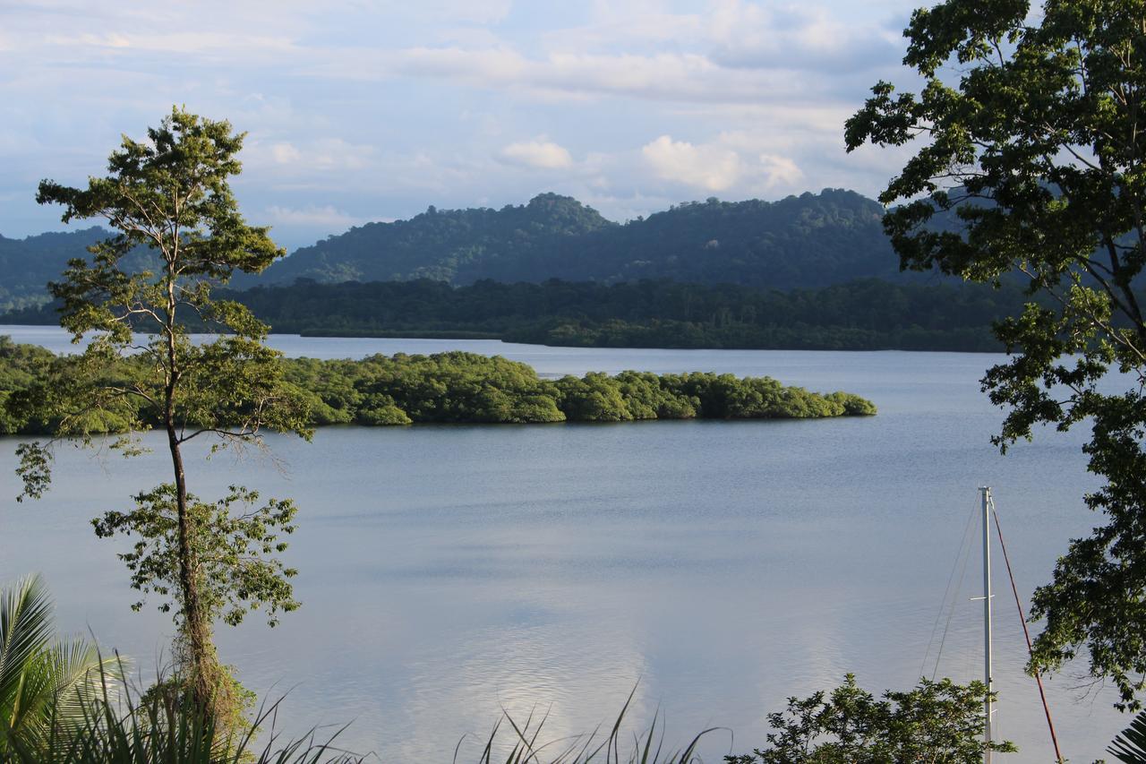 Nathylodge Bocas Town Bagian luar foto