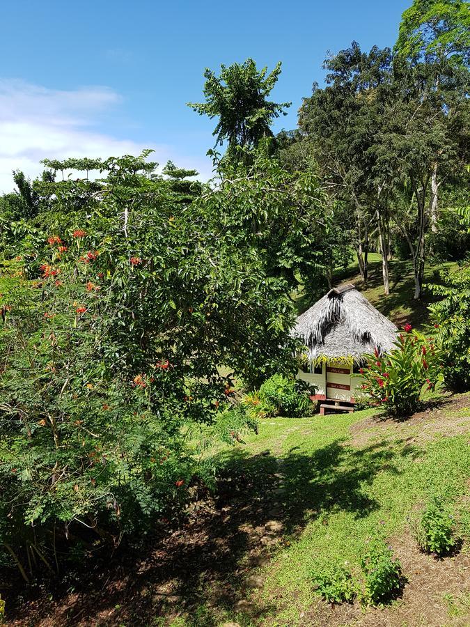 Nathylodge Bocas Town Bagian luar foto